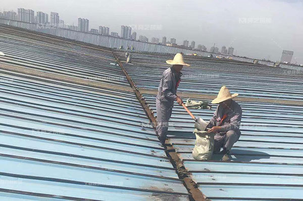 黄瓜视频在线下载生锈了怎么办，翻新需要打磨吗？