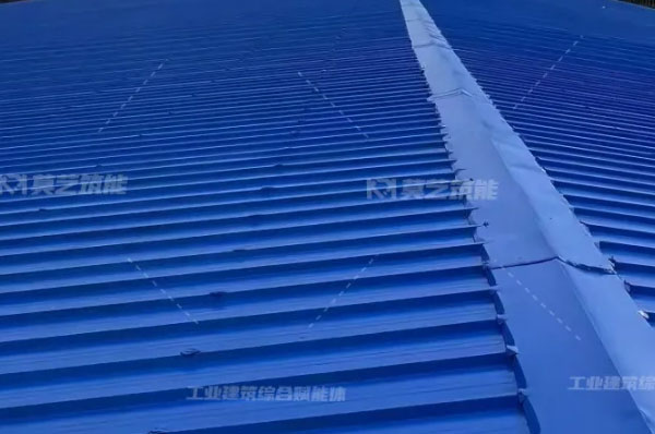 湖南长乐粮油贸易有限公司金属屋面翻新...